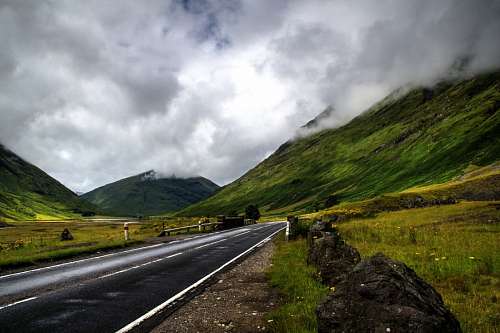 Ruta