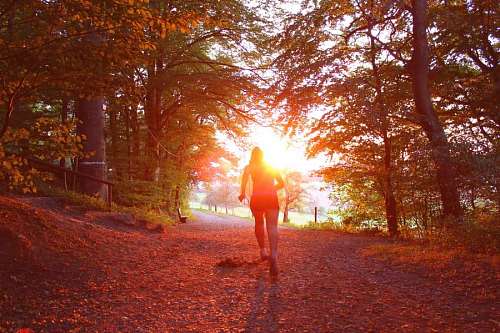 mujer corriendo en dirección al sol en medio de un bosque