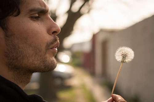 soplado Hombre joven soplando una flor diente de leon