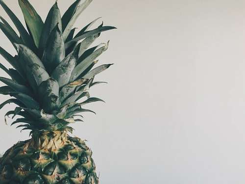 Piña