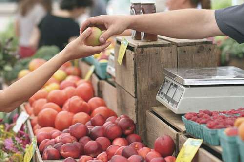 Una persona comprando fruta fresca en la tienda de frutas