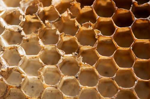 cluster Textura de Panal de Abejas para Fondo