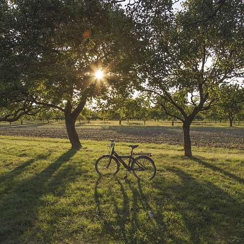 golfo Bicicleta en el campo al atardecer