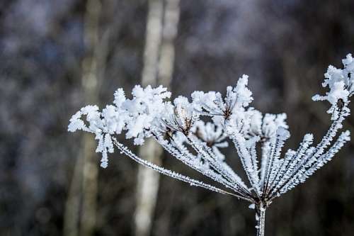 cristales Hielo
