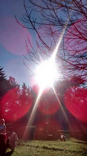 verano, paisaje, jardin, exterior, sol, reflejo, a