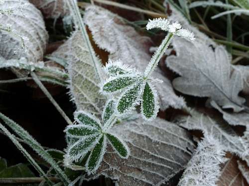 Invierno
