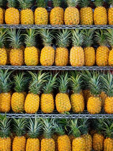 Piñas frescas