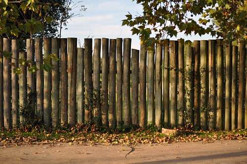 trono Pared de troncos locacion
