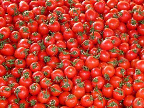 Tomates Cherry