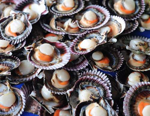 mariscos Mariscos