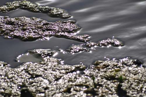 Reflejo Agua