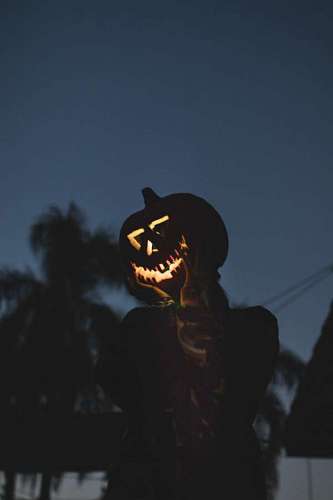 completo Calabaza en halloween