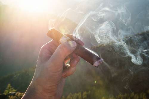 tabaco habano