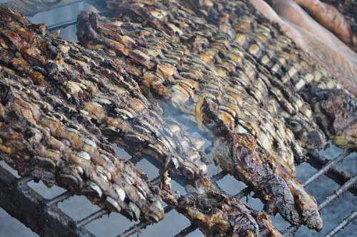 asado Asado Tipico Argentino
