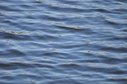 laguna Textura Agua