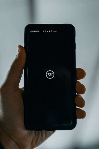 Billetera de criptomonedas en el celular