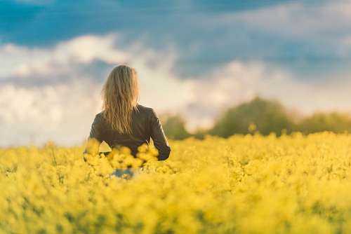 Mujer en un campo de flores amarillas