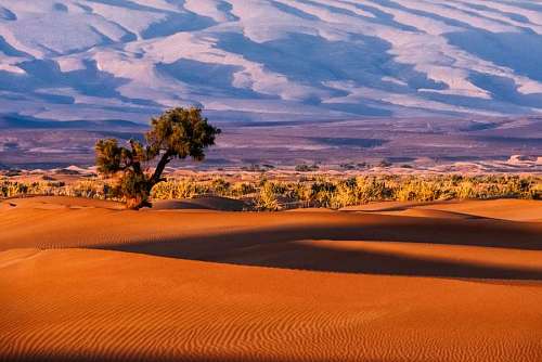 Paisaje de dunas en el desierto al atardecer