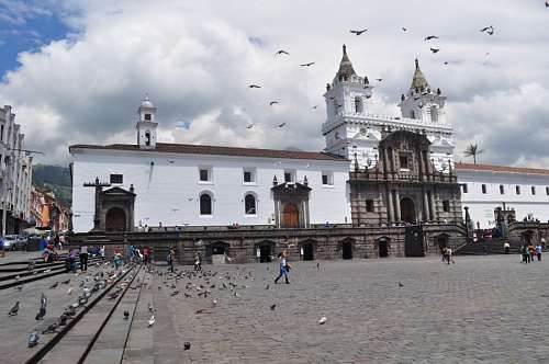 aves Quito, Ecuador