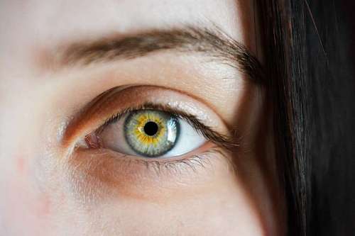 miedo primer plano de un hermoso ojo gris con dorado