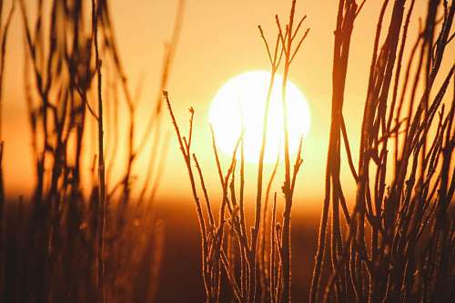 Atardecer en el campo
