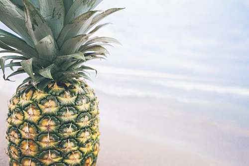 frutas tropicales Piña
