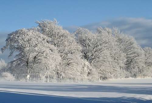 paisaje de invierno Paisaje de Invierno