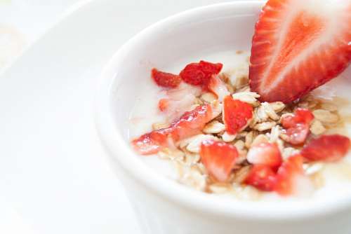yogurt 