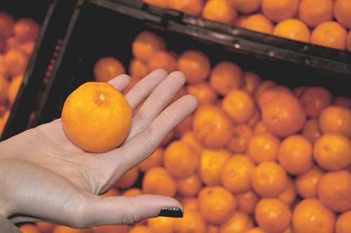 mostrando Mano de Mujer sosteniendo una naranja