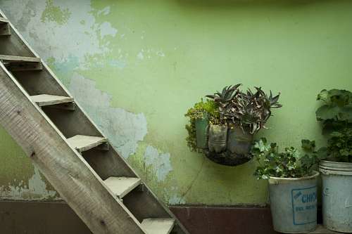 abono Patio Escalera