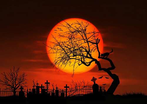 terror Cementerio