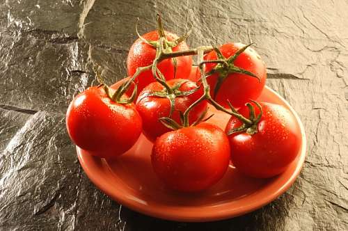 cluster Racimo de Tomates