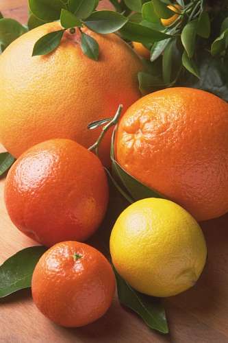 limon Citricos