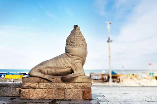 lugar turistico Estatua de Lobo Marino en Mar del Plata, Argentina