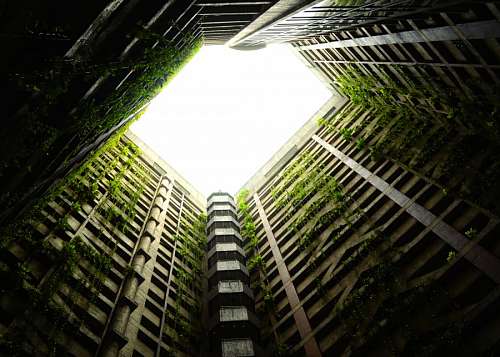 jardin urbano 