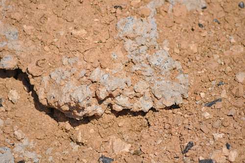 arido Tierra Seca