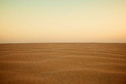 100 Desert