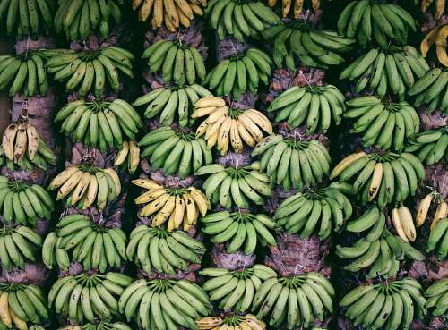 almacenamiento Fondo de Bananas