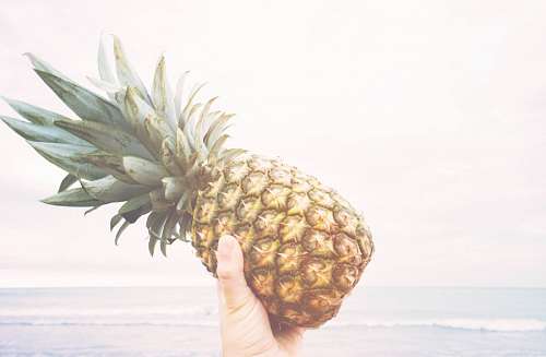 mostrando Piña