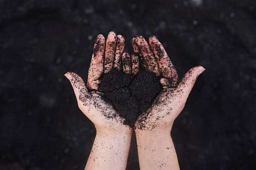 Manos de mujer sosteniendo compost fresco