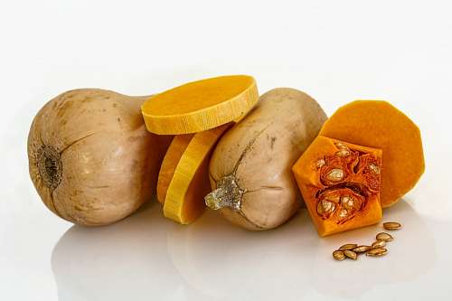 squash Zapallo