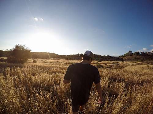 Hombre joven en el campo