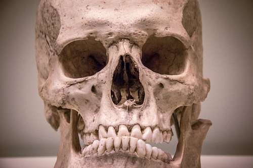 juan cabeza, calavera, esqueleto, head, museo, musseum,