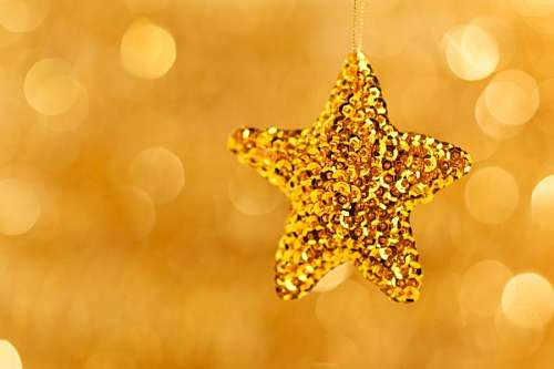 festejo Navidad