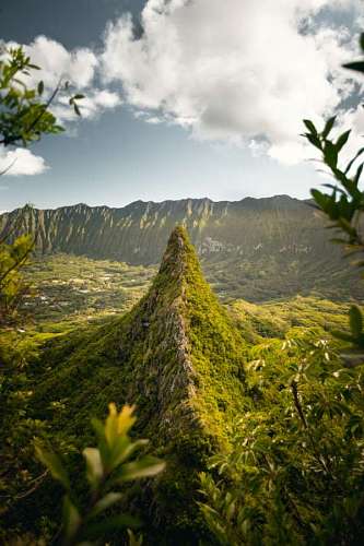 Paisaje de montaña y bosque en Hawai