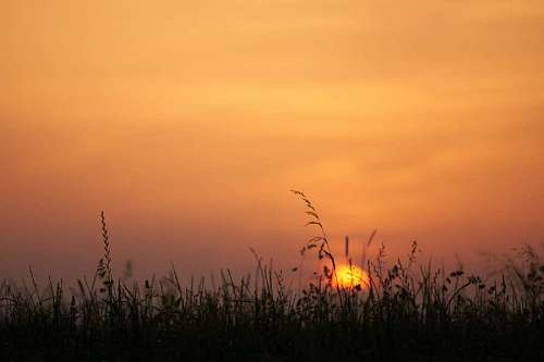 tierra Puesta de sol en un campo