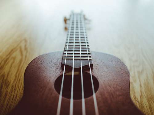 instrumento musical Guitarra 
