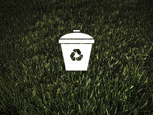 ecologia Ecología y medio ambiente