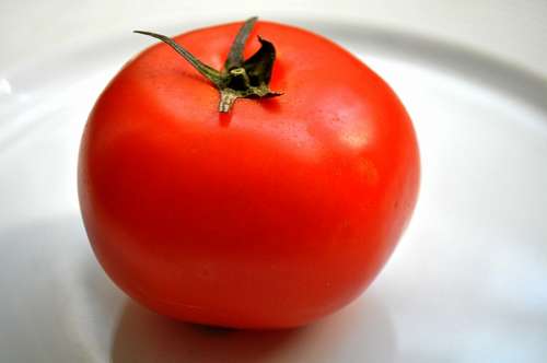 redondo Tomate
