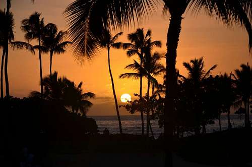 Puesta de sol en una playa tropical del caribe